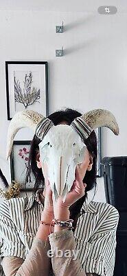 Art Deco sculpture, Corsican Ram Skull, Christmas Gift